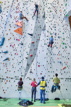 Basis-Kletterkurs in der Kletterhalle (3 Abende)