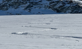 Haute Route Graubünden - Skihochtour im Herzen der Bündner Alpen (5 Tage)