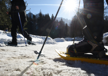 Schneeschuhwanderung zum Seebensee in Ehrwald